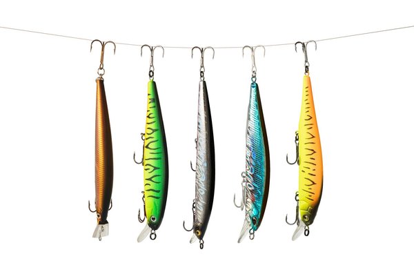 Découvrir la pêche aux leurres de la truite et des carnassiers locaux